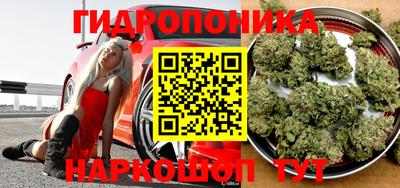 PSILOCYBIN Ангарск